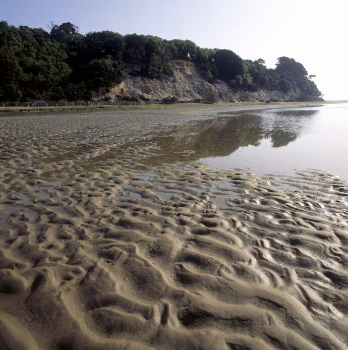 The changing shoreline of Brownsea Island